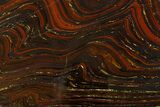 Polished Tiger Iron Stromatolite Slab - Billion Years #314310-1